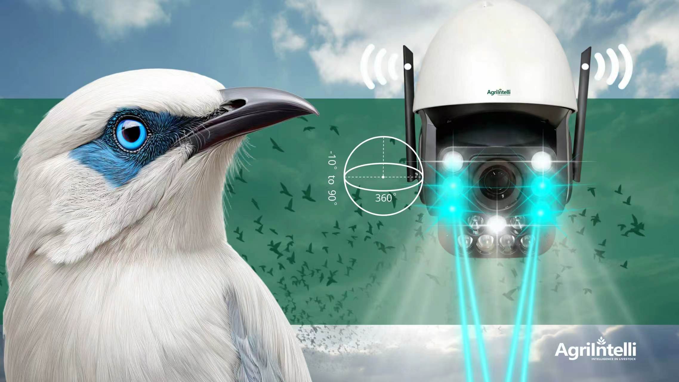 AI BIRD DETERRENT SYSTEM