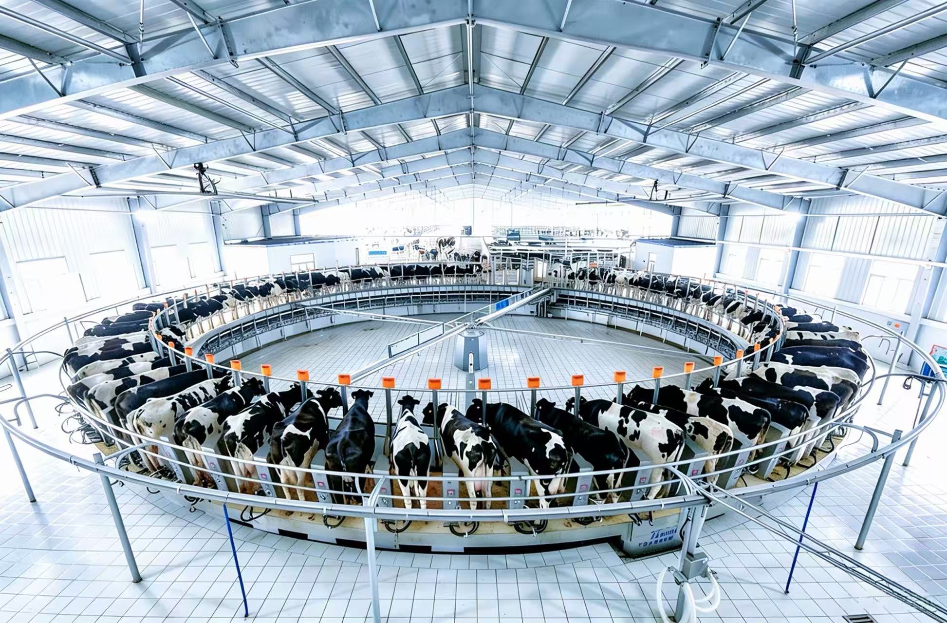 MILKING SYSTEMS