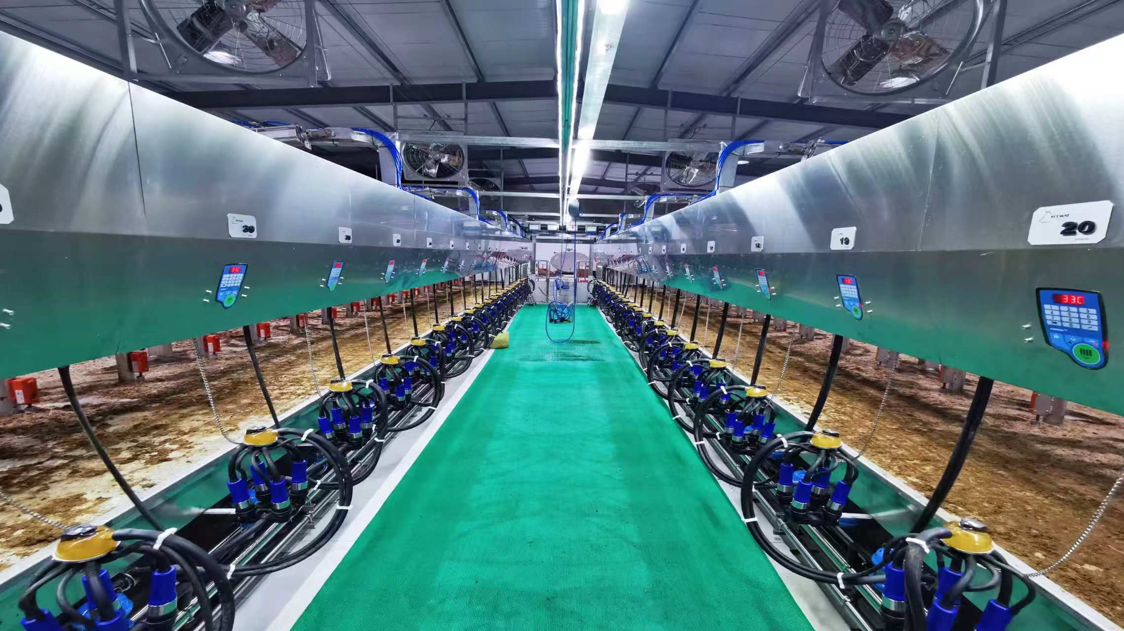PARALLEL MILKING SYSTEMS